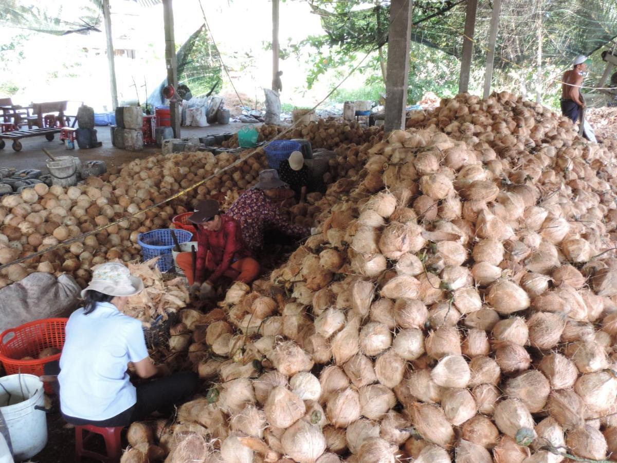 Ben Tre Farm Stay Eksteriør bilde