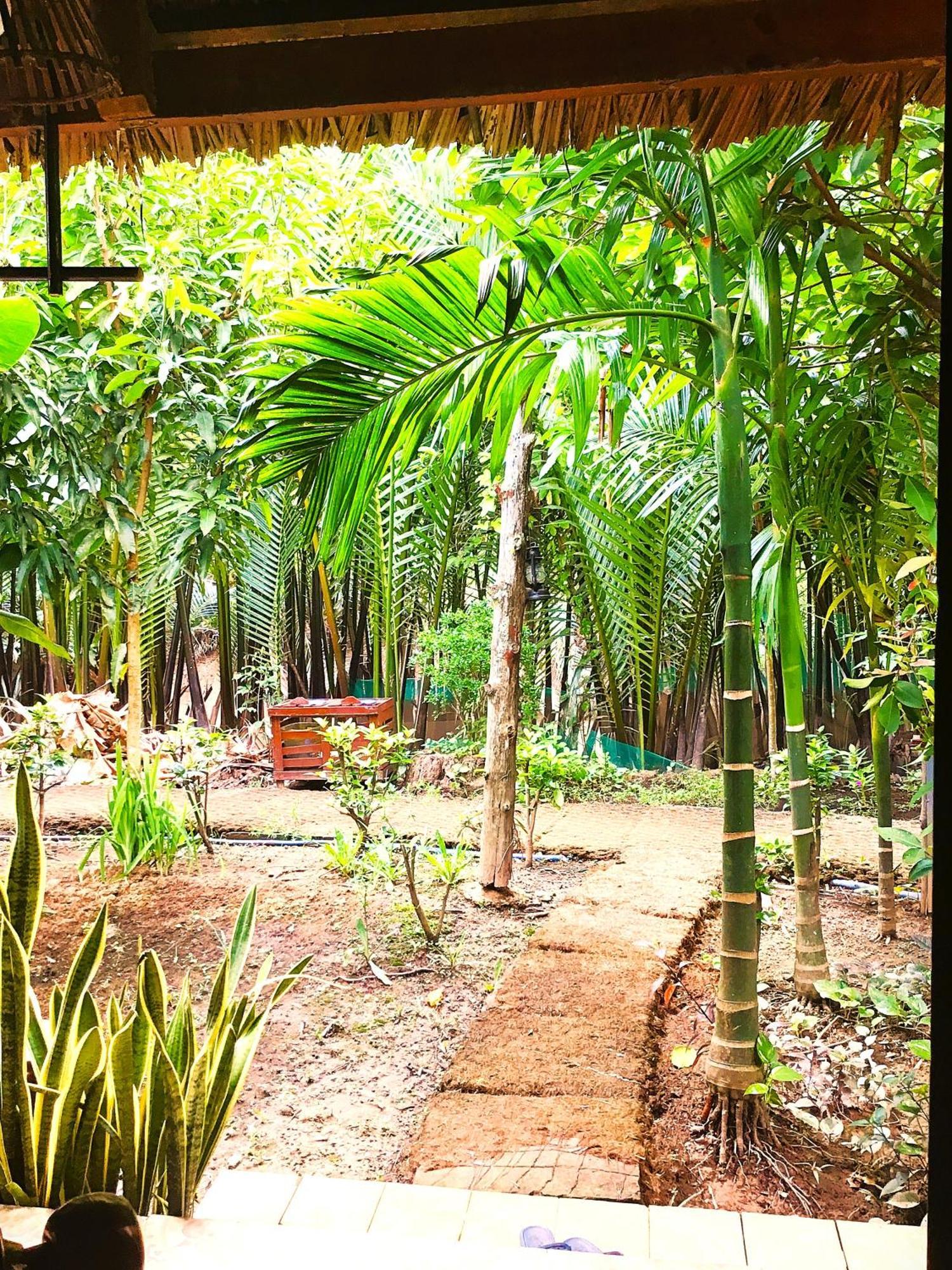 Ben Tre Farm Stay Eksteriør bilde