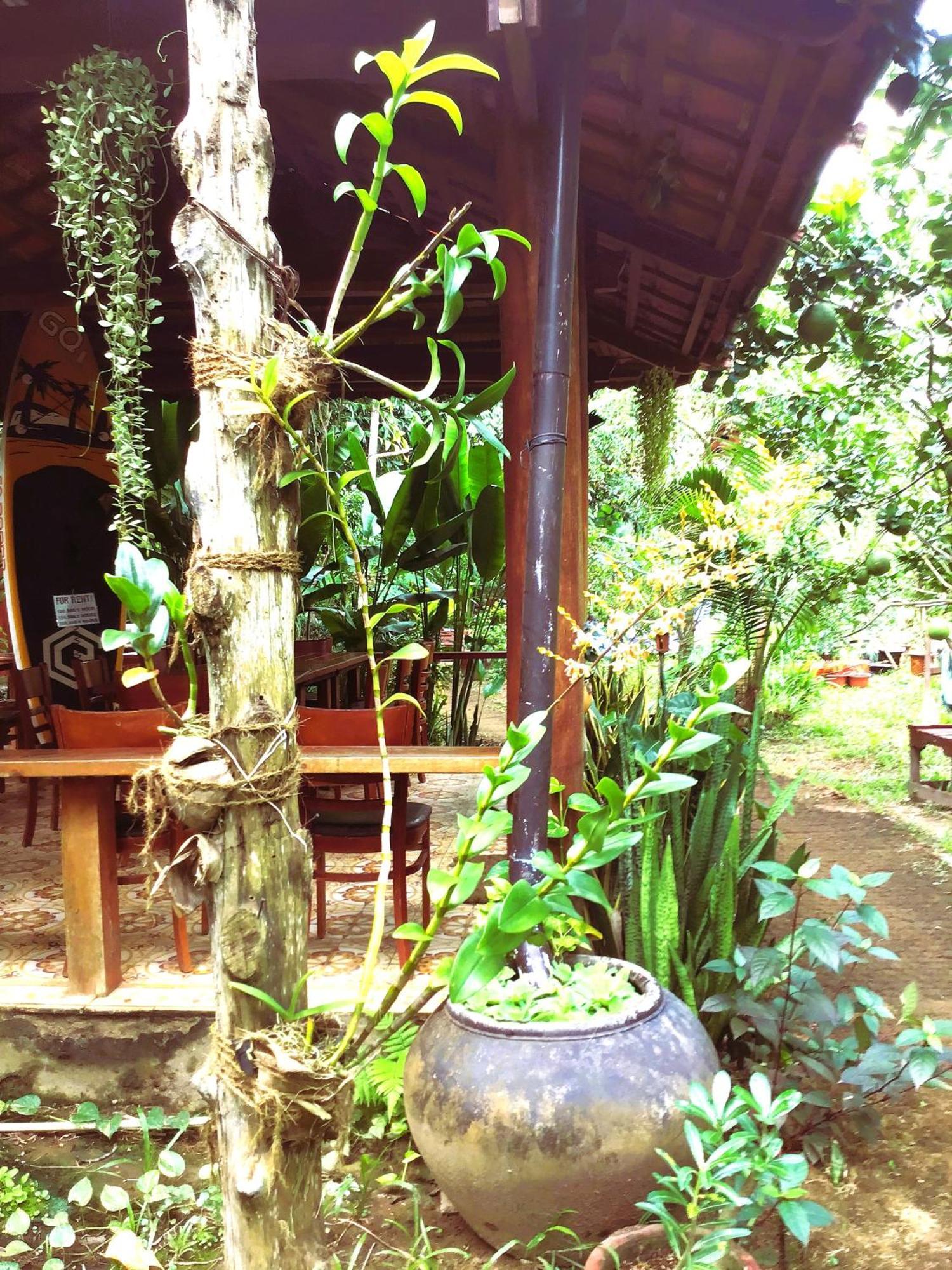 Ben Tre Farm Stay Eksteriør bilde
