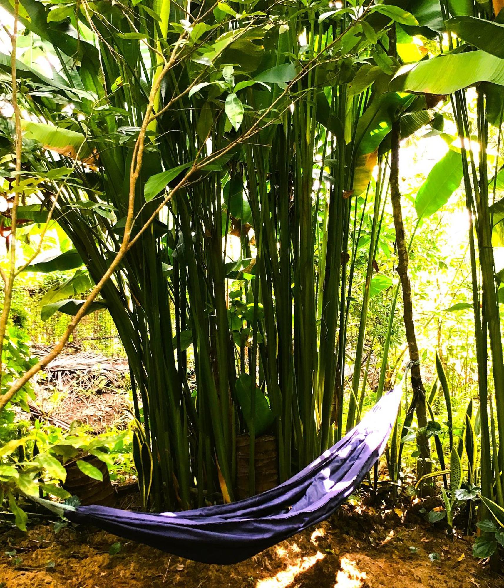 Ben Tre Farm Stay Eksteriør bilde