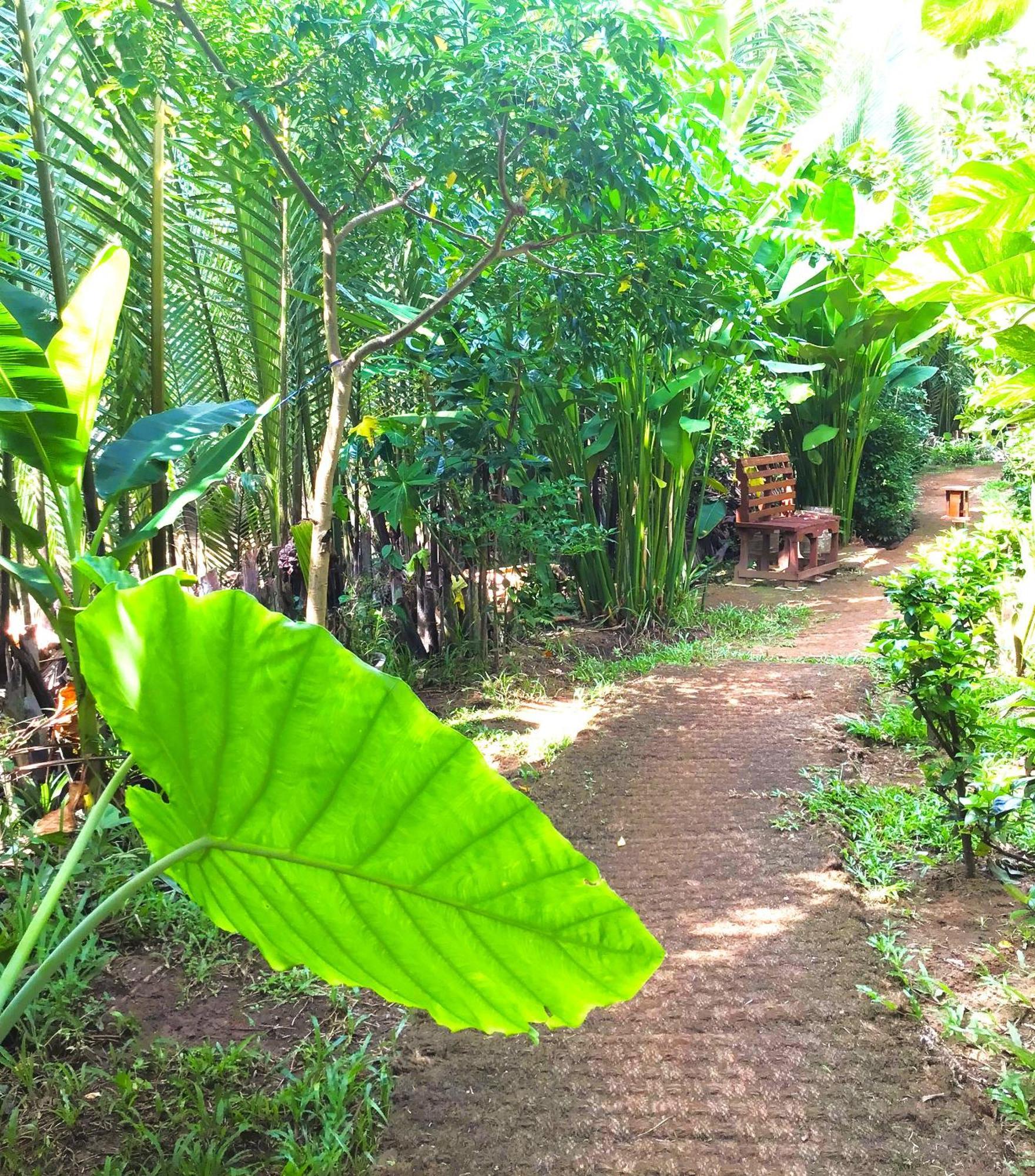 Ben Tre Farm Stay Eksteriør bilde