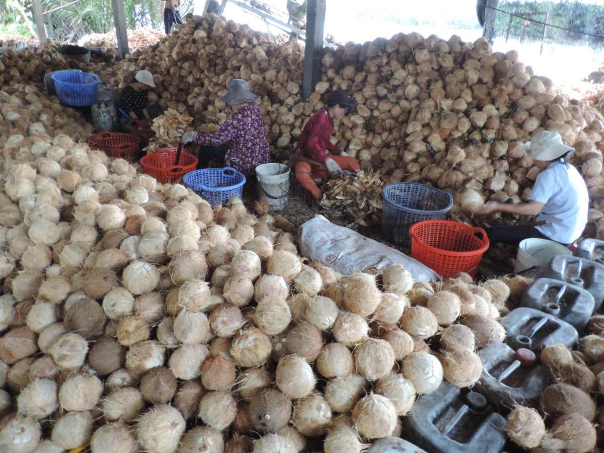 Ben Tre Farm Stay Eksteriør bilde